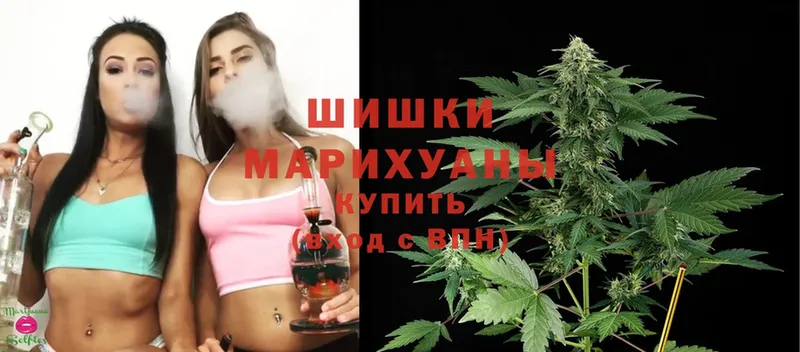 Бошки Шишки THC 21%  Красногорск 